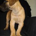 Sylvia Paul - @Sylvia_Paul - Twitter