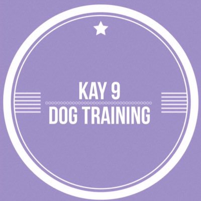 1-2-1 training & behavioural consults. All trained using motivational and positive reward based methods. Based in Bridport Dorset #dogtraining #Bridport