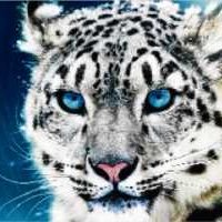 Francesc Barbosa (@27614fbp) 's Twitter Profile Photo Francesc Barbosa (@27614fbp) 's Twitter Profile Photo