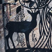 Queen's Orchard (@queens_orchard) 's Twitter Profile