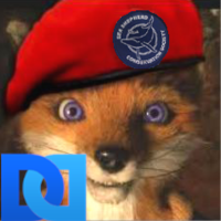 Foxewise (@foxewise) 's Twitter Profile