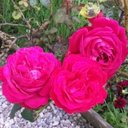 sbi (@01_sbi) Twitter