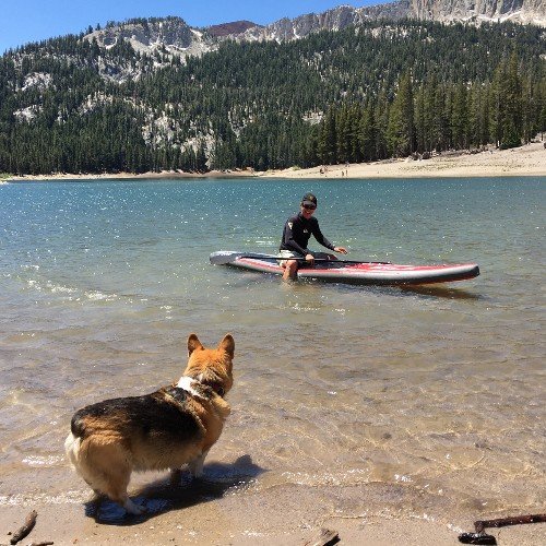 BCPuckett56's profile picture. 