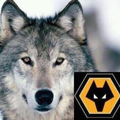 Wolverhampton Wanderers @wolves #forgotten80s