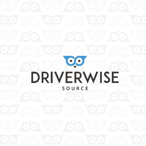 driver_wise's profile picture. Our human resources specialists are taking care of the entire recruitment process, making sure you will find the most suitable business partners.