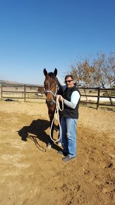 Horse Behaviorist working especially within the Horse Racing Environment in South Africa