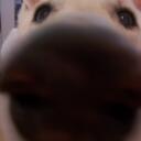 Sharon Drumm - @Serrabou - Twitter