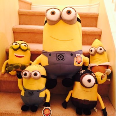 xiaobearcat's profile picture. 