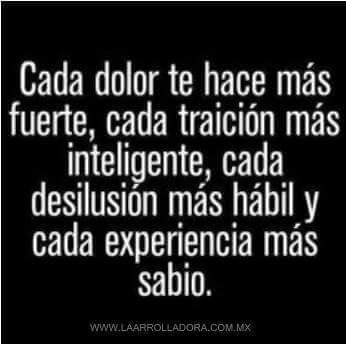 JoseDeJ45836003's profile picture. Música