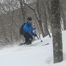 teleya036's profile picture. from the City of Sacred Wood.