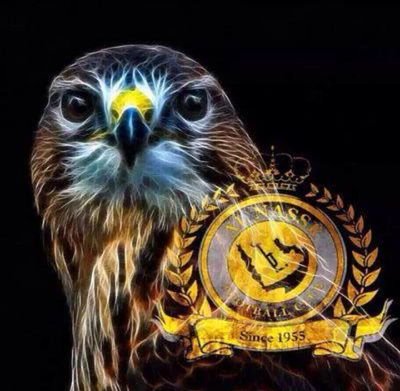 samerroo22's profile picture. 