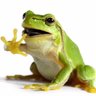 NimbleFrog's profile picture. 