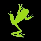 We strive to be California's premier supplier of reptiles and related products.