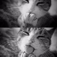 Suna Kan (@sunali62) Twitter profile photo