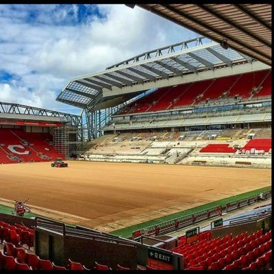 lfc96stars's profile picture. 