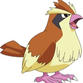 yo local Pidgey, keepin it real. (first hate/comedy pokémon acc) & I am the first pidgey account, everyone else got it from me