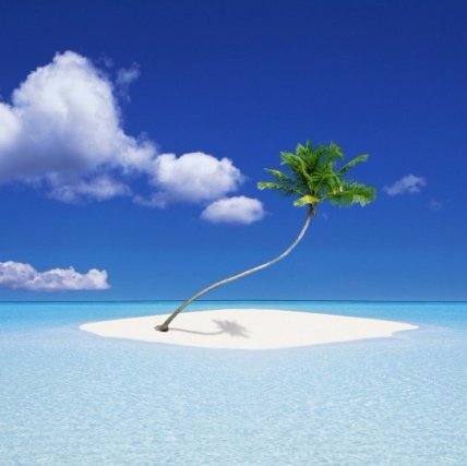 antillesvacance's profile picture. vacances aux antilles