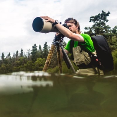 Professional Photographer / College 'Prof', Dave M. Shumway shares as he creates images of wild animals and places throughout North America...