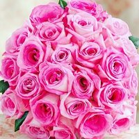 محايل 20س (@dgioh_zuzyh) 's Twitter Profile