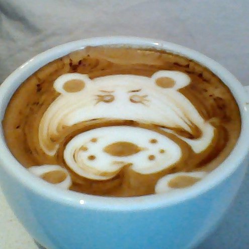 dashark869's profile picture. 