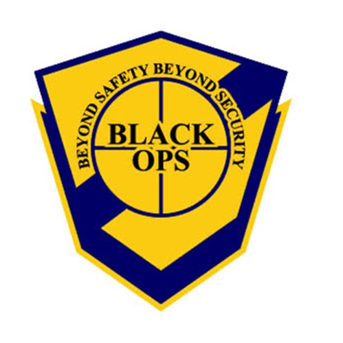 SA_BlackOps's profile picture. Beyond Safety, Beyond Security

https://t.co/fFxlm7vryR