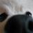 me_____nmen's profile image