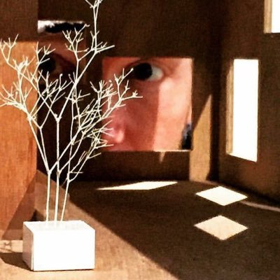 This_Is_My_Week's profile picture. Seeing the world differently one day at a time.