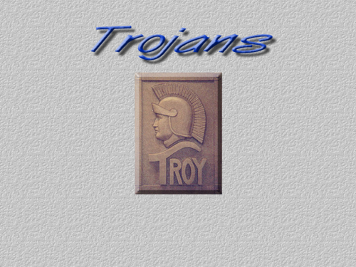 Troy School District 30-C is a consolidated school district in Will County Illinois