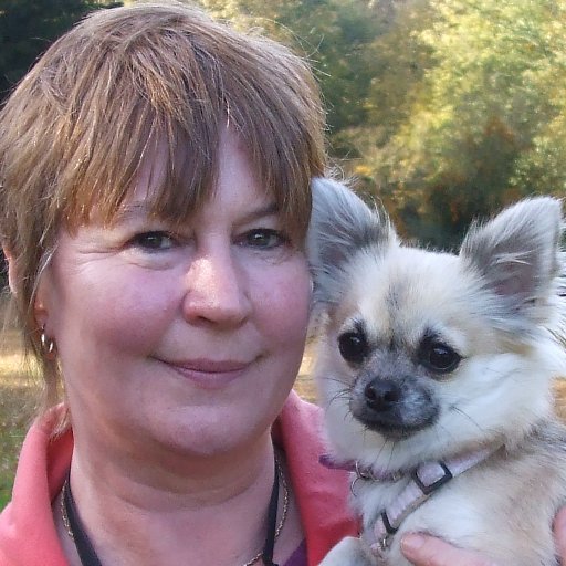 mysticalbev's profile picture. let's make England great again