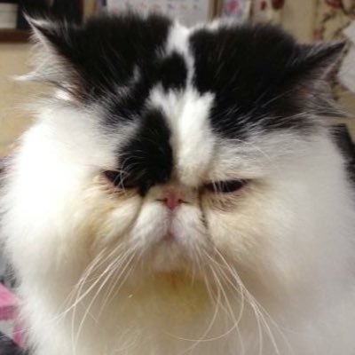 店主（松ちゃん）さんのプロフィール画像