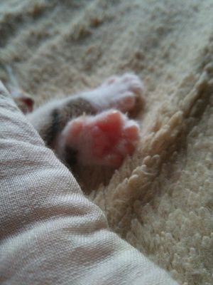 F5bQGThalYhIGSl's profile picture. 