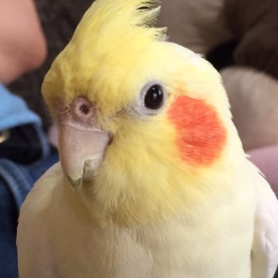 Y2Rナガリョーさんのプロフィール画像