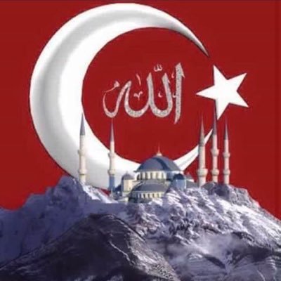 trisalojistik's profile picture. aydinsimsek@trisalojistik.com