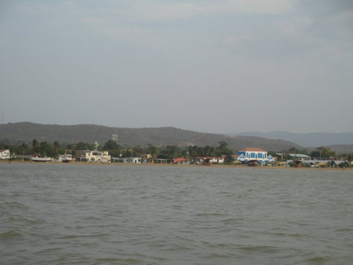 radoikareyes's profile picture. 