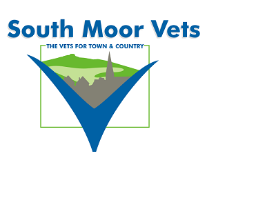 SouthMoorVets's profile picture. Kingsbridge 01548 852766
Modbury 01548 830210
Ivybridge 01752 892390