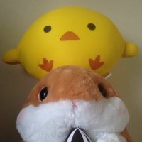 晴日青【告知用】 (@haruhi_ao_ex) 's Twitter Profile Photo 晴日青【告知用】 (@haruhi_ao_ex) 's Twitter Profile Photo