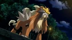 Entei | { Trainer: / } | { Single } | { lvl 92 } | { Wild } | '' One of the three Mystery Pokemon '' | Male | Shiny!