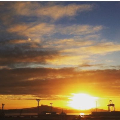 laural33p's profile picture. ...