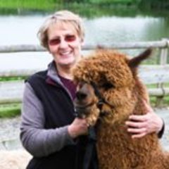 We breed coloured alpacas in rural Shropshire.  We offer support and training including British Alpaca Society Affiliates Workshops on all things alpacas.