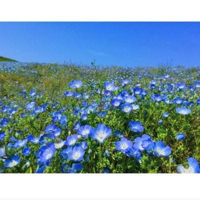 BLWaxlP9qFuTUEB's profile picture. 、