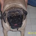 jarod dunn - @mistahdunn2000 - Twitter