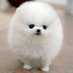 @0709_daymilk