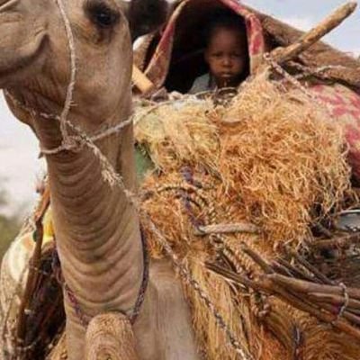 Hassan28Moha's profile picture. 