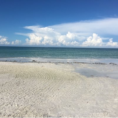 ileend's profile picture. 