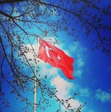 BrcBly's profile picture. 