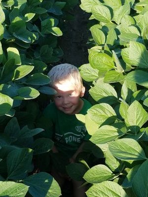 Grain and Livestock Producer in Central Nebraska. Involved in Farm Mngt & Sales. Husband and Father!