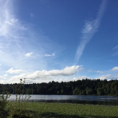 shijianming's profile picture. Husband, father, entreprenuer and investor. Co-Founder of 5Y Capital and Co-Founder of Gestalt Capital.  Ex-Publisher of Forbes China.