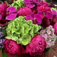 Exotic Flowers (@boston_florist) Twitter profile photo