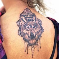 Neha Sharma (@nehasharma4222) 's Twitter Profile