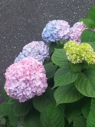 JeetSHarding's profile picture. 